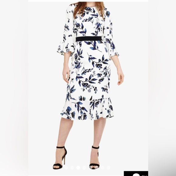 Phase Eight NWT dress - Picture 1 of 6